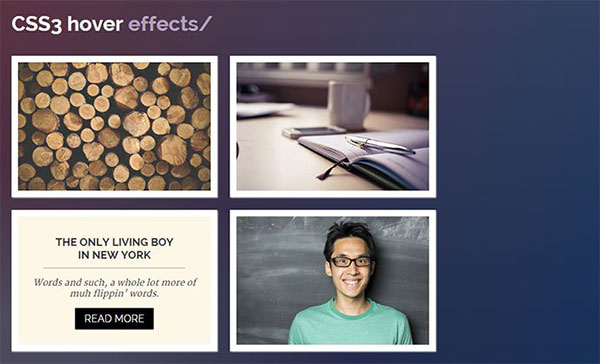 css3-hover-effects-2